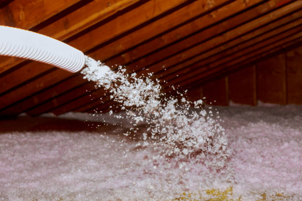 Best Commercial Insulation in Fairmount, NY